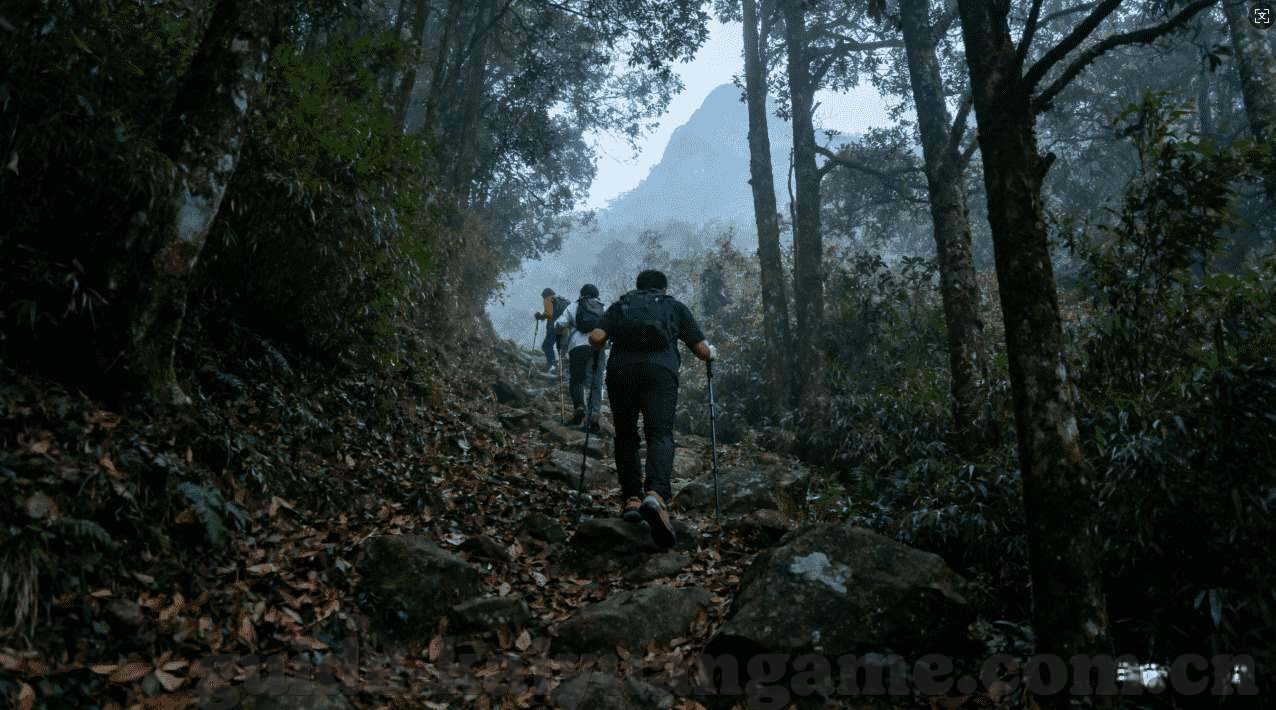 南宫28问鼎-南宫28问鼎，揭秘一冷门王者的崛起之路